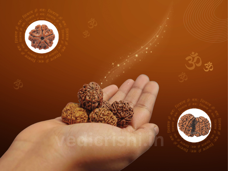 rudraksha-2024